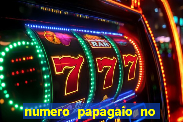 numero papagaio no jogo do bicho